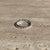 A003 Band ring with interspersed balls